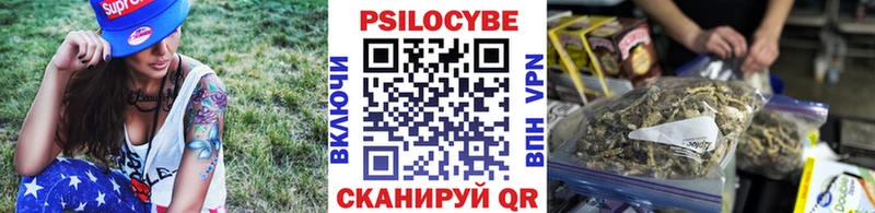 Псилоцибиновые грибы GOLDEN TEACHER  Купить  Вологда 